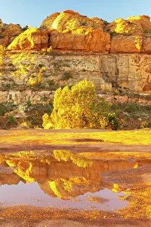 Basin: USA, Utah, Grand Staircase Escalante National Monument