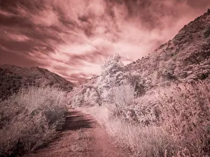 Eggers: USA, Utah, Infrared of backroad in the Logan Pass area