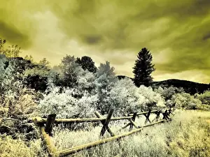 Eggers: USA, Utah, Infrared of the Logan Pass area with