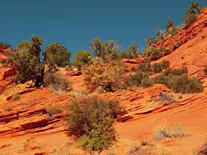 Entrance: USA, Utah, Kanab, Peekaboo Canyon Entrance Area