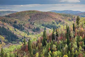 Highway: USA, Utah, Logan Canyon along Highway 89 landscape