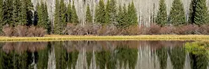 Bare: USA, Utah. Reflections on Warner Lake, Manti-La