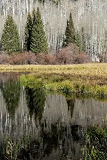 Bare: USA, Utah. Reflections on Warner Lake, Manti-La