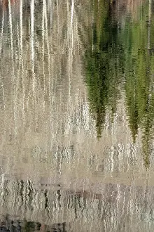 Bare: USA, Utah. Reflections on Warner Lake, Manti-La