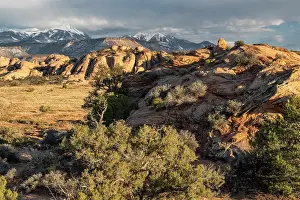 Sandstone: USA, Utah. Vista of Sand Flats and the La Sal Mountains