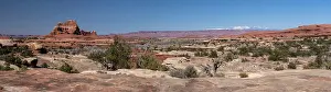 Tower: USA, Utah. Vista from Wooden Shoe Arch, Canyonlands