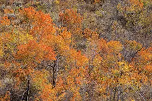 Highway: USA, Utah, Woodruff. Highway 39 towards Ogden, canyon