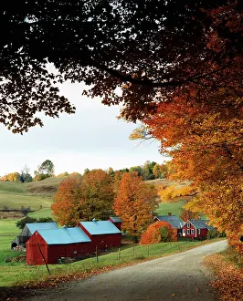 Reading: USA, Vermont, Reading, The Jenne farm in