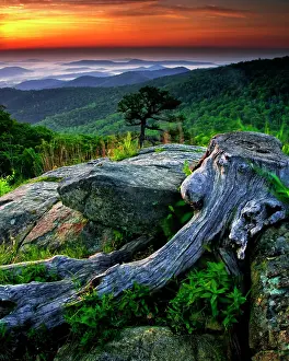 Shenandoah: USA, Virginia, Shenandoah National Park