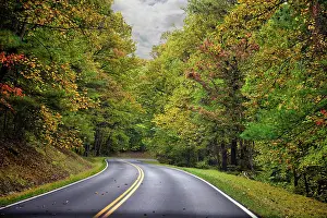 Falling: USA, Virginia, Shenandoah National Park, fall color