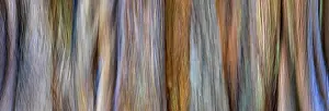 Aqua: USA, Washington, Seabeck. Panoramic abstract of