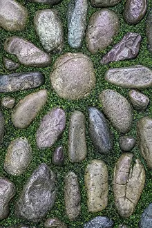 Moss: USA, Washington State, Bainbridge Island. Detail of rock