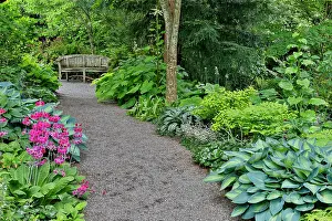Gravel: USA, Washington State, Bellevue. Bellevue Botanical