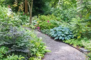 Shade: USA, Washington State. Bellevue Botanical garden