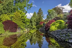 Whitney: USA, Washington State, Brinnon. Whitney Garden and