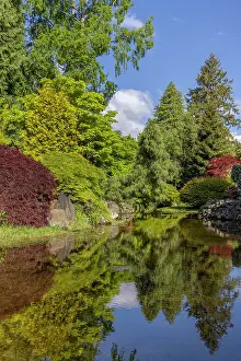 Whitney: USA, Washington State, Brinnon. Whitney Garden and