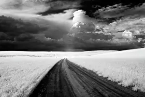 Infrared: USA, Washington State, Country backroad