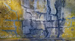 Weathered: USA, Washington State, Fort Flagler State Park