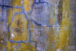 Weathered: USA, Washington State, Fort Flagler State Park