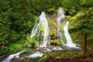 Washington: USA, Washington State, Gifford Pinchot National