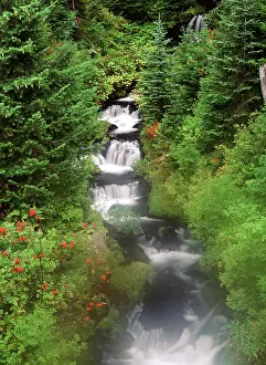 Twin: USA, Washington State, Gifort Pinchot National