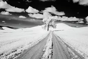 Infrared: USA, Washington State, Lone along Country backroad
