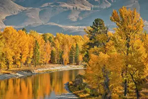 Darrell: USA, Washington State, Methow Valley and river edged