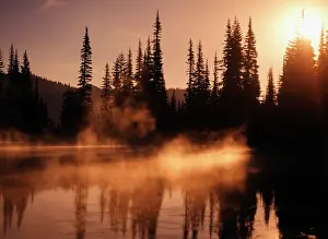 Rainier: USA, Washington State, Mount Rainier National
