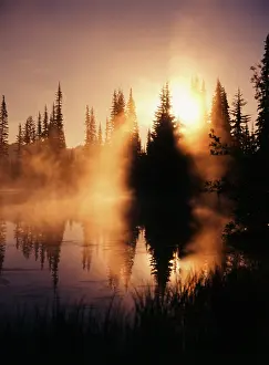 Stuart: USA, Washington State, Mount Rainier National