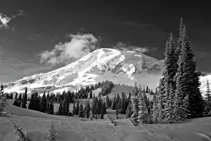Rainier: USA, Washington State, Mt. Rainier National Park