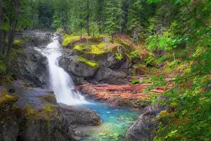 Washington: USA, Washington State, Mt. Rainier National Park