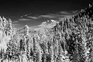 Viewed: USA, Washington State, Mt. Rainier viewed from the South