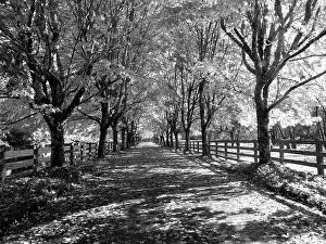 Bend: USA, Washington State, North Bend black and White