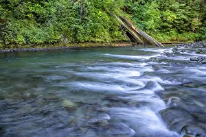 Washington: USA, Washington State, Olympic National Forest