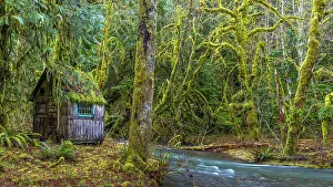 Cabin: USA, Washington State, Olympic National Park. Weathered