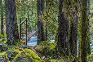 Bridge: USA, Washington State, Olympic National Park. Bridge