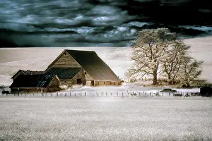 Infrared: USA, Washington State, Palouse