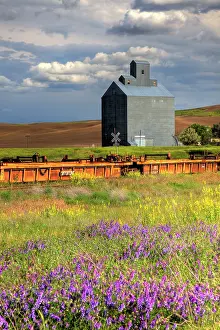 Julie: USA, Washington State, Palouse. Old silo with wildflowers