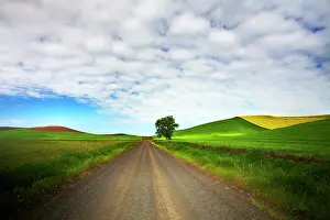 Backcountry: USA, Washington State, Palouse. Backcountry
