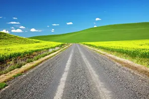 Backcountry: USA, Washington State, Palouse. Backcountry
