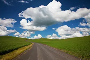 Rolling: USA, Washington State, Palouse. Backcountry