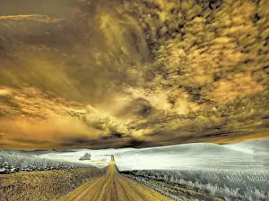 Wheat: USA, Washington State, Palouse. Backcountry road