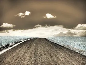 Palouse: USA, Washington State, Palouse. Country backroad