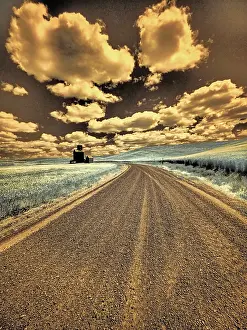 Palouse: USA, Washington State, Palouse. Country backroad
