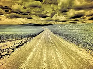 Palouse: USA, Washington State, Palouse. Country backroad