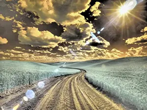 Palouse: USA, Washington State, Palouse. Country backroad