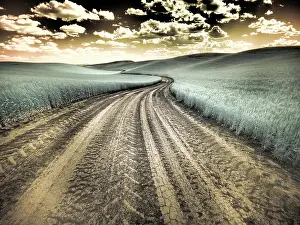 Palouse: USA, Washington State, Palouse. Country backroad