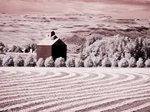 Wheat: USA, Washington State, Palouse. Harvest lies in