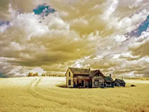 Infrared: USA, Washington State, Palouse. Infrared of old