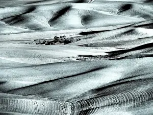 Wheat: USA, Washington State, Palouse region, Rolling hills